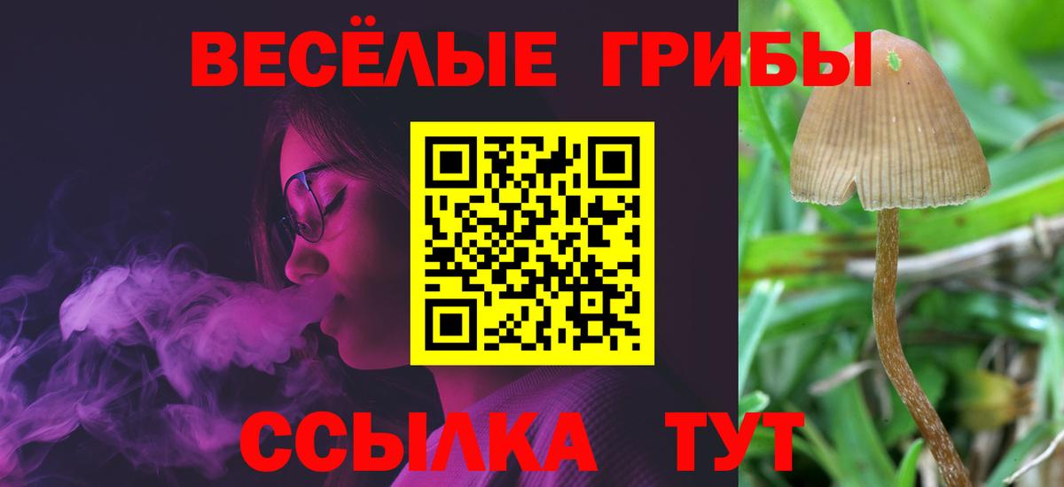 Галлюциногенные грибы прущие грибы  Вход с VPN  Рассказово 